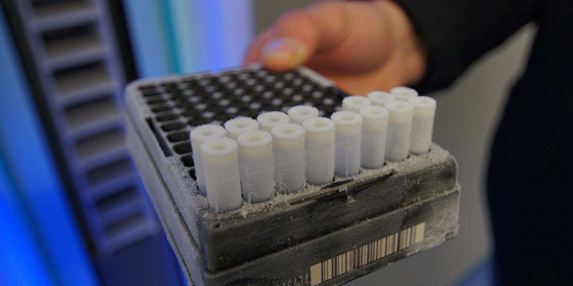 haarsamples in lifelines lifestore