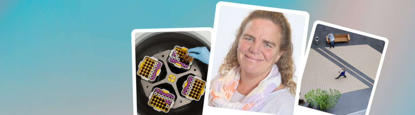 Baukje Boertien header